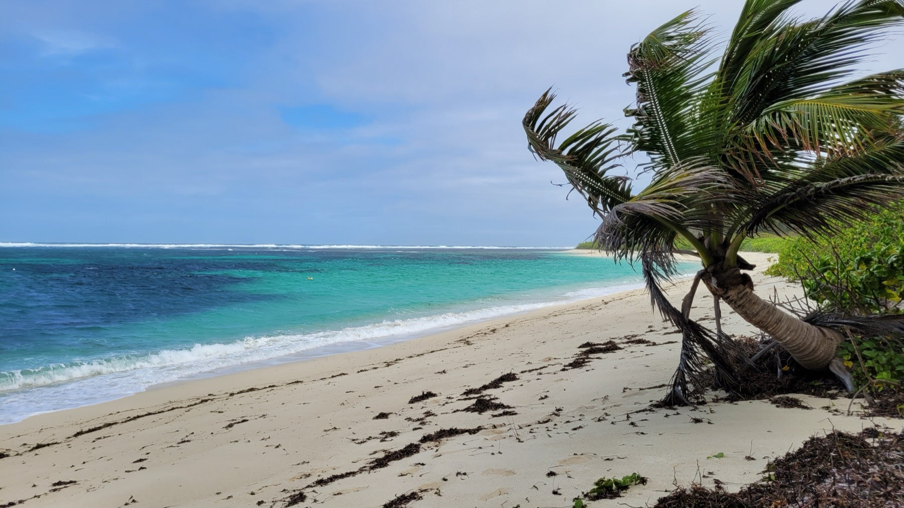 Quiet tropical beach and water